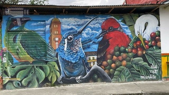 Pijao