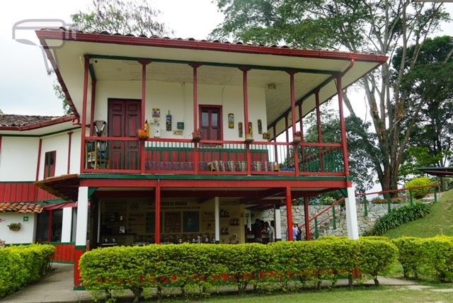 Finca cafetera El Ocaso