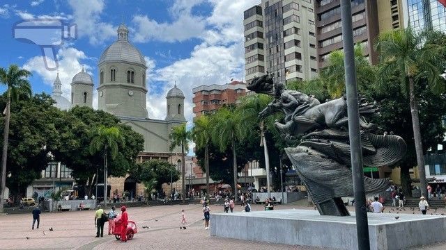 Pereira