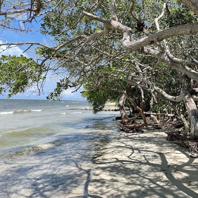 Cartagena de Indias