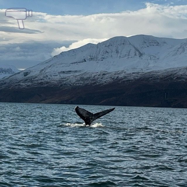 Islandia