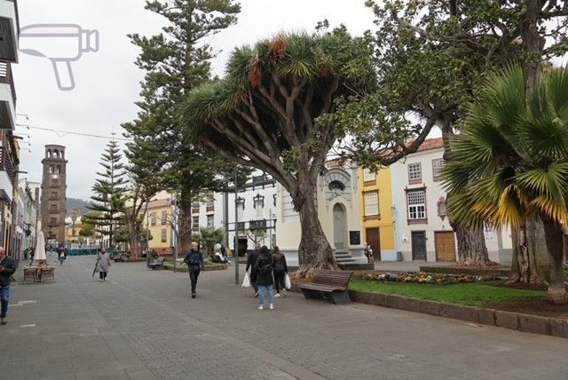 La Laguna