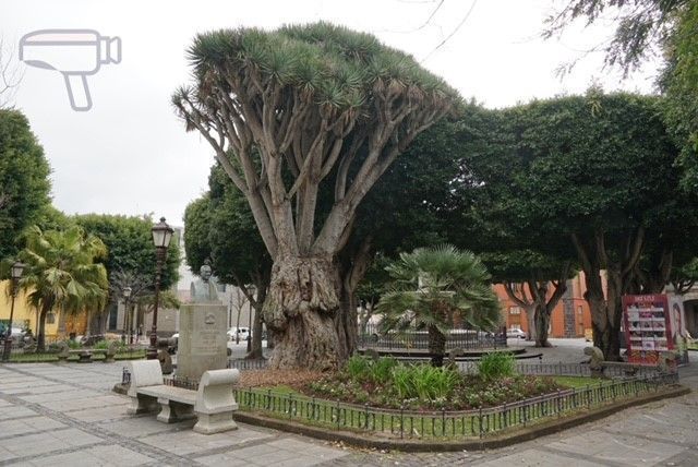 La Laguna