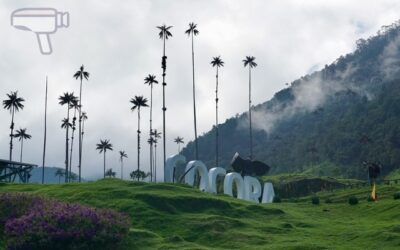 Trekking por el Valle del Cocora: ruta circular, cómo llegar y consejos