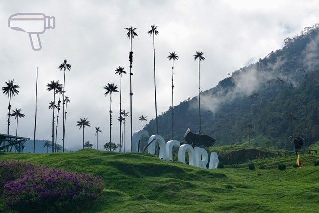 Trekking por el Valle del Cocora: ruta circular, cómo llegar y consejos