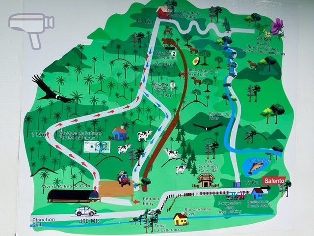 Plano del Valle del Cocora