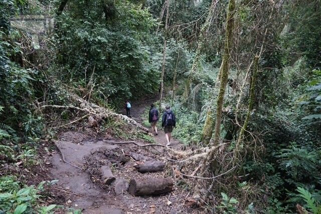 Zona de bajada pronunciada desde la Finca La Montaña, hasta el río Quindío