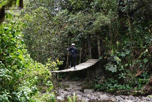 Eva cruzando uno de los varios puentes colgantes que salvan el río Quindío