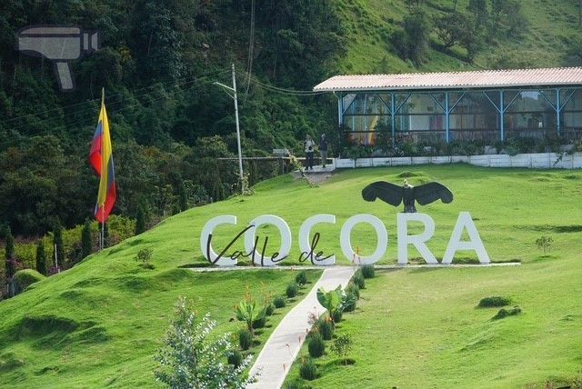 Letras del Valle del Cocora