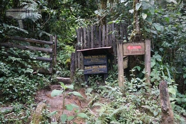Entrada en Acaime, Valle del Cocora