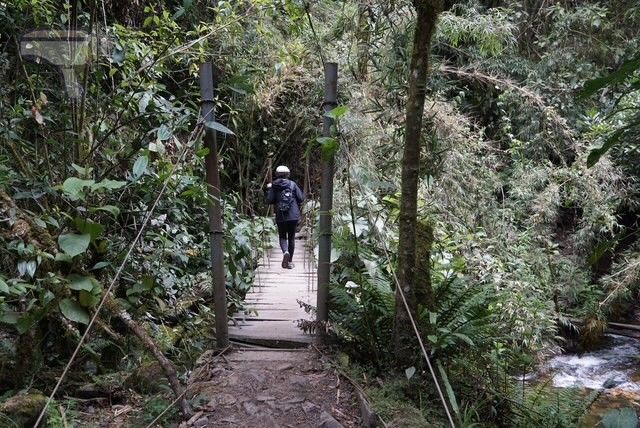 Eva cruzando uno de los varios puentes colgantes que salvan el río Quindío