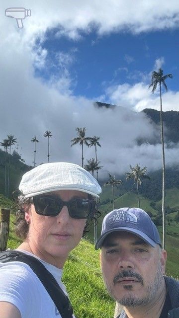 Bosque de Palmas y la niebla entrando, uno de las imágenes más icónicas del Valle del Cocora
