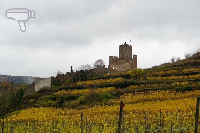 Viñedos rodeando el Castillo de Kaysersberg