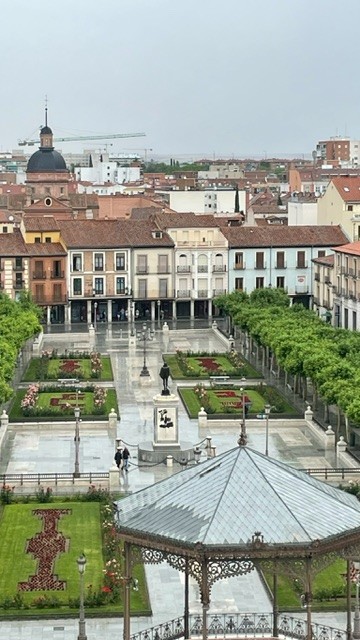 Vista desde lo alto de la Torre de Sta. María