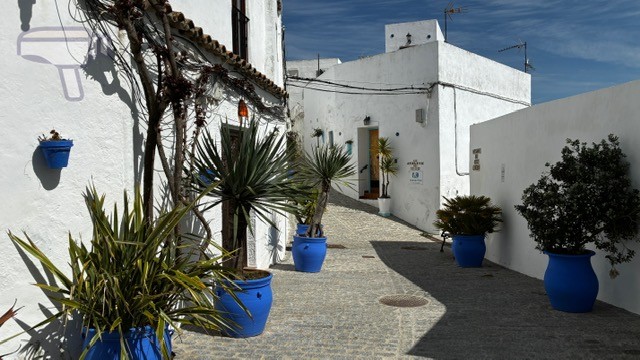 calle típica Vejer casas blancas macetas
