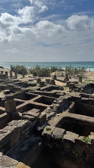 fábricas de salazón Baelo Claudia garum