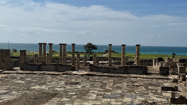 foro de Baelo Claudia ruinas romanas