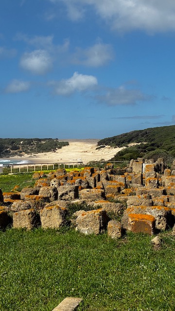 duna de Bolonia Tarifa