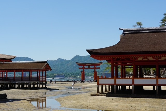 Santuario de Itsukushima y gran Torii de Miyajima durante nuestra ruta por Japón en 16 días