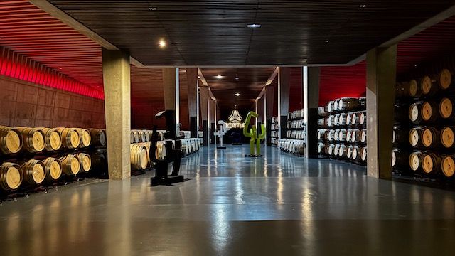 Sala de barricas de Bodegas Portia, cerca de Aranda de Duero